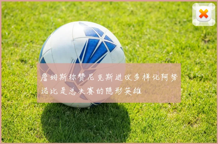 詹姆斯称赞尼克斯进攻多样化阿努诺比是总决赛的隐形英雄